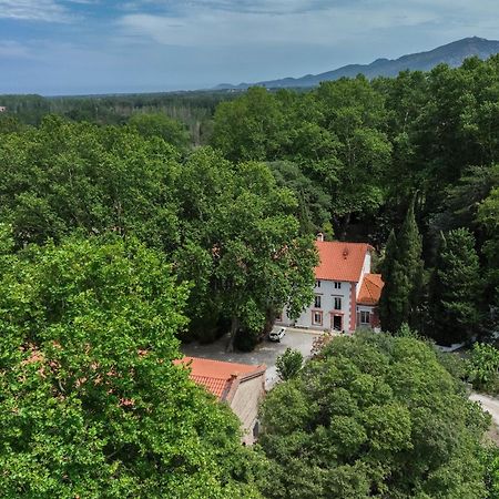 Bed and Breakfast Domaine Castell De Bles Saint-Genis-des-Fontaines Экстерьер фото