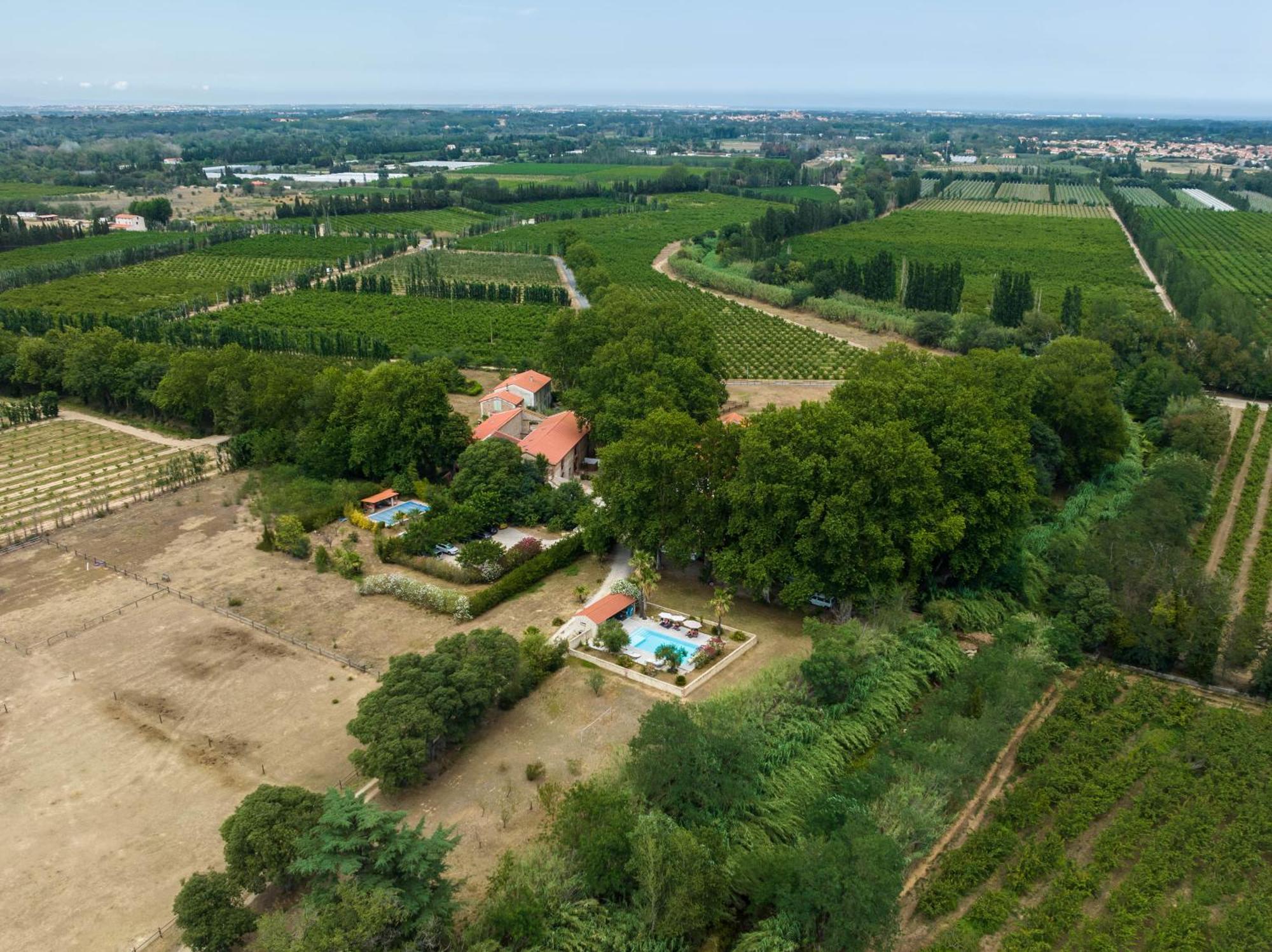 Bed and Breakfast Domaine Castell De Bles Saint-Genis-des-Fontaines Экстерьер фото