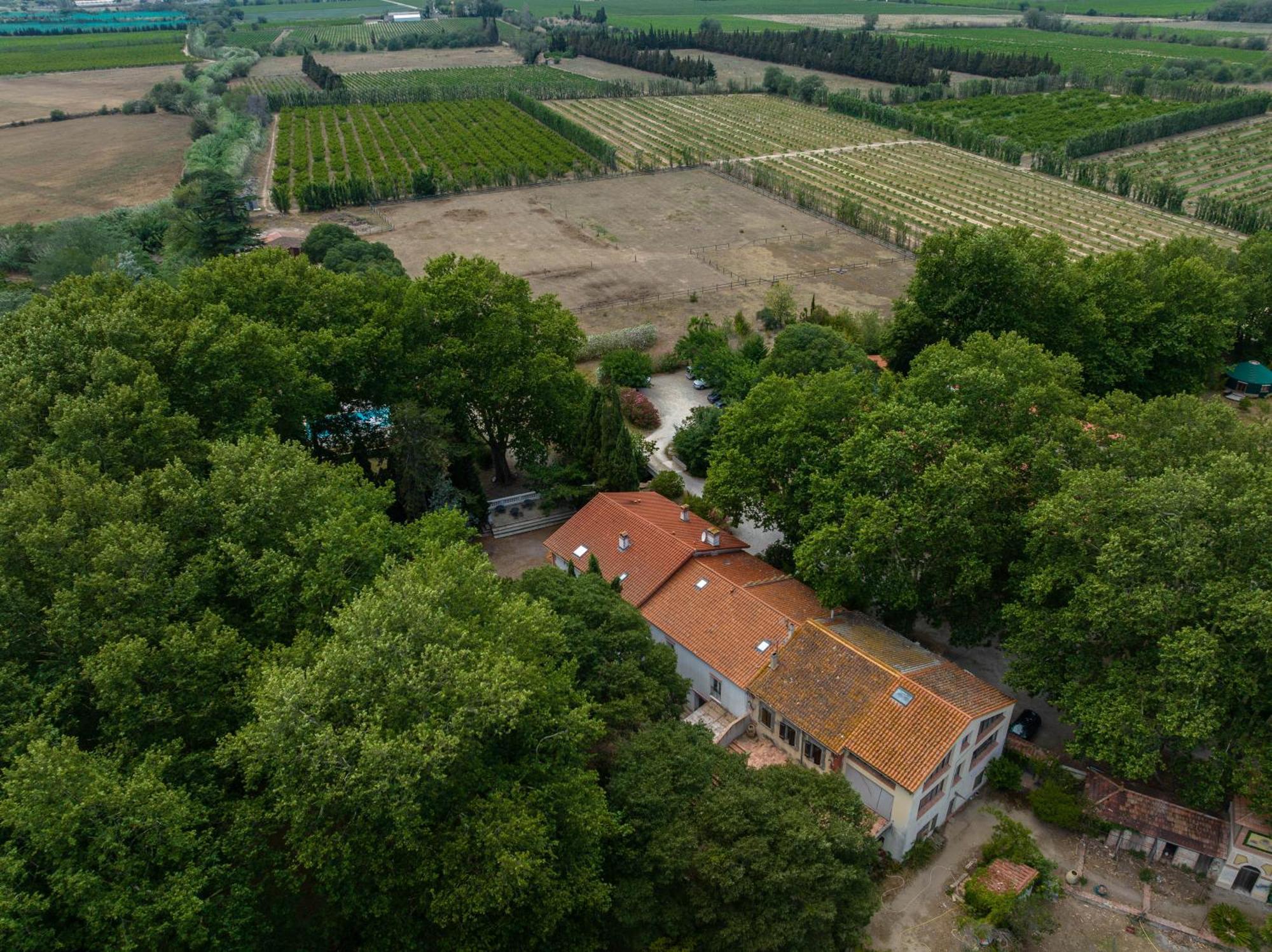 Bed and Breakfast Domaine Castell De Bles Saint-Genis-des-Fontaines Экстерьер фото